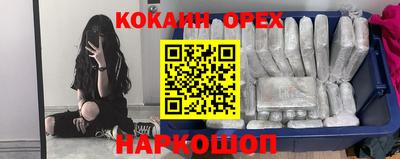 стаф Севастополь