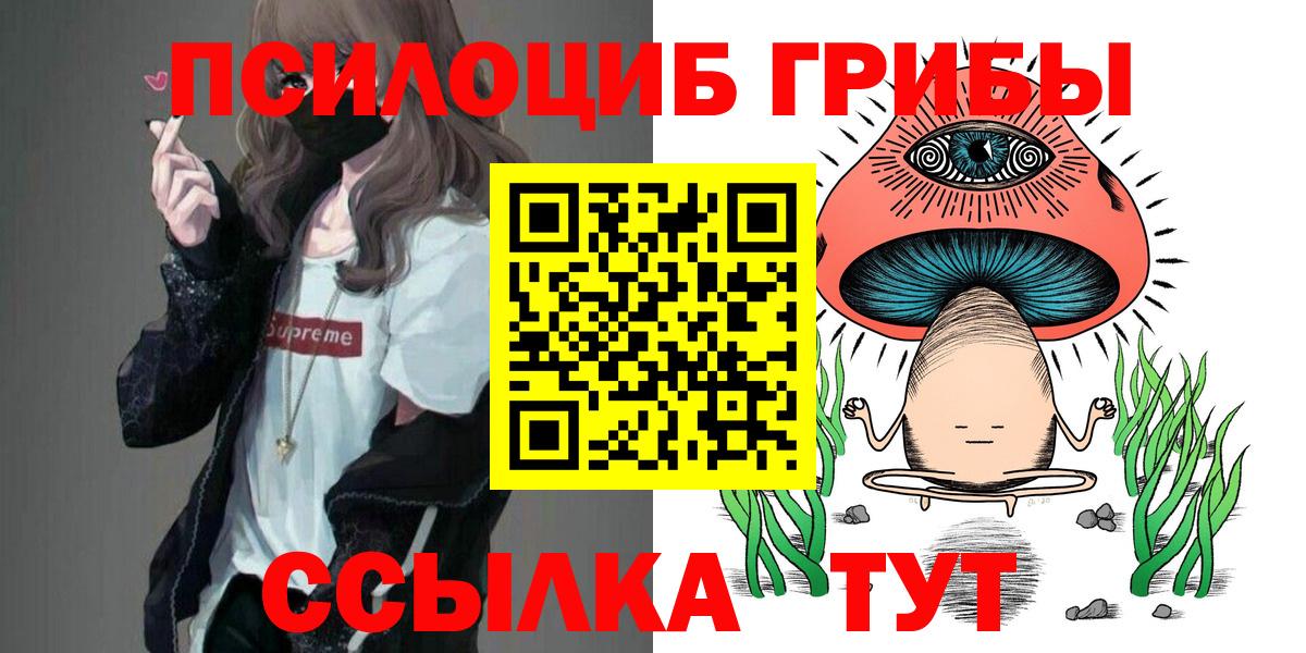 где купить наркотик  Псилоцибиновые грибы мухоморы  Вход с VPN  Астрахань 